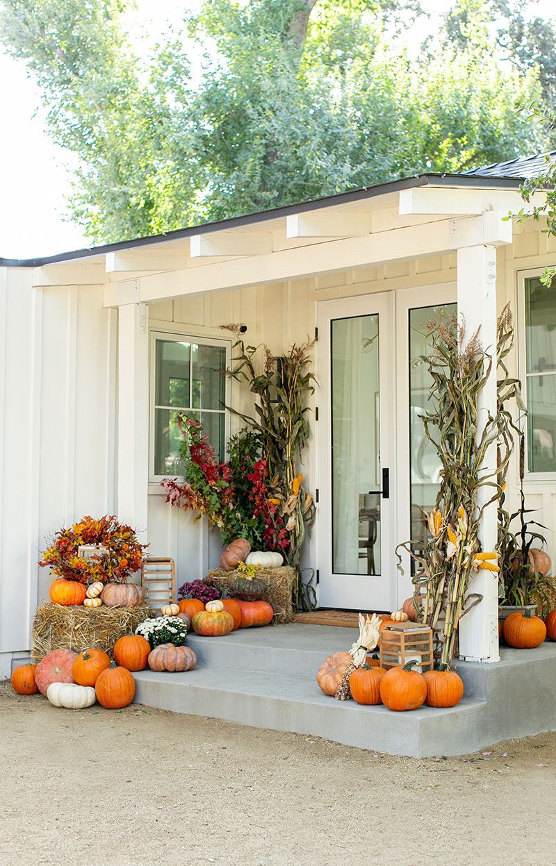 The Grand Pumpkin